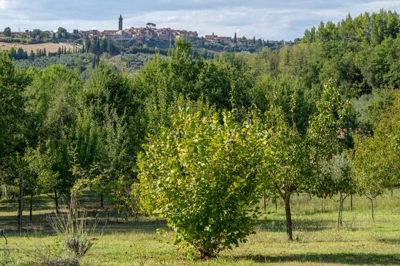 Peccioli Agriturismo La Valle מראה חיצוני תמונה